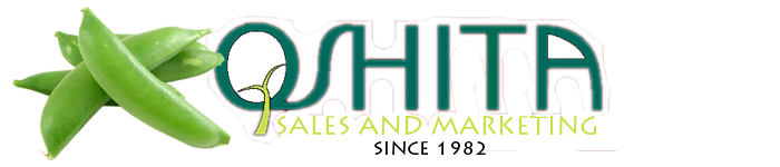 oshita_logo-700x150[banner]